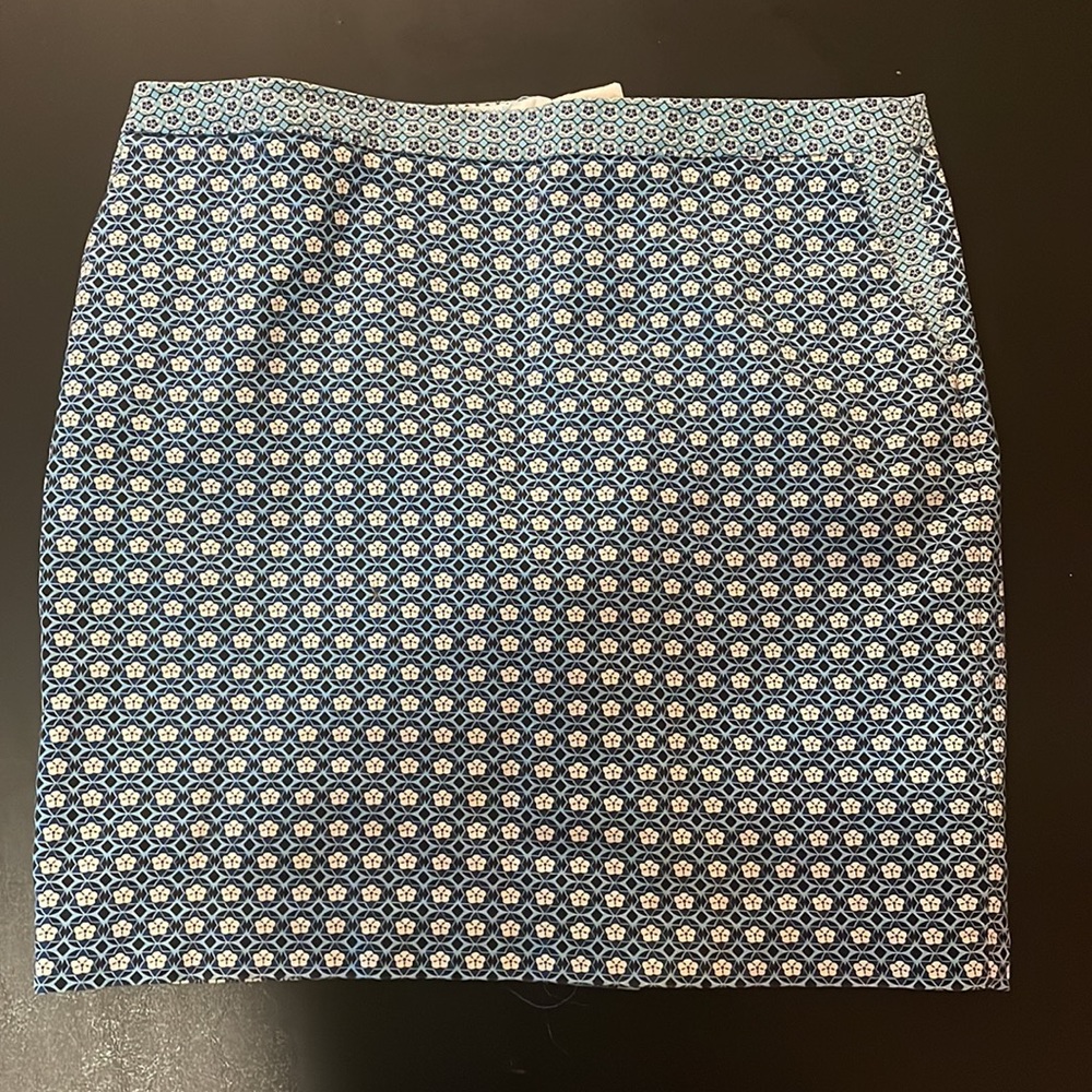 Dalia Collection pretty blue printed skirt. Size 12.